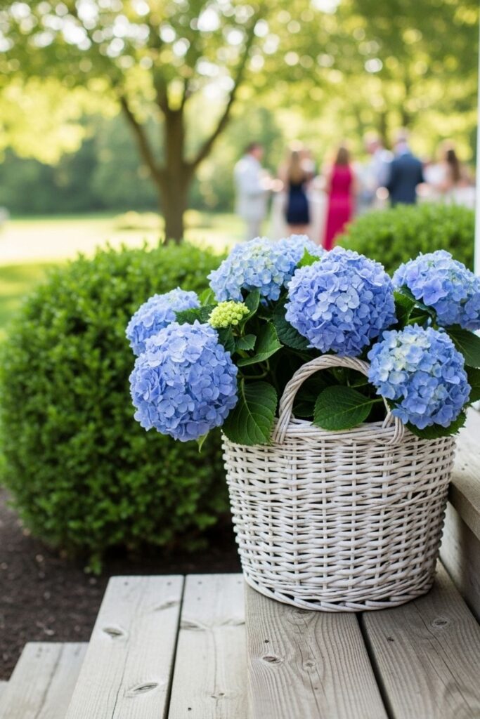 Blue Hydrangea Baskets